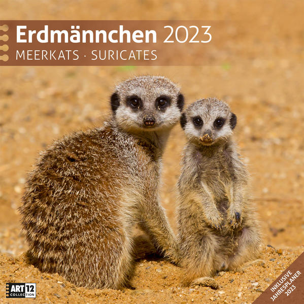 Image of Erdmännchen Kalender 2023 - 30x30