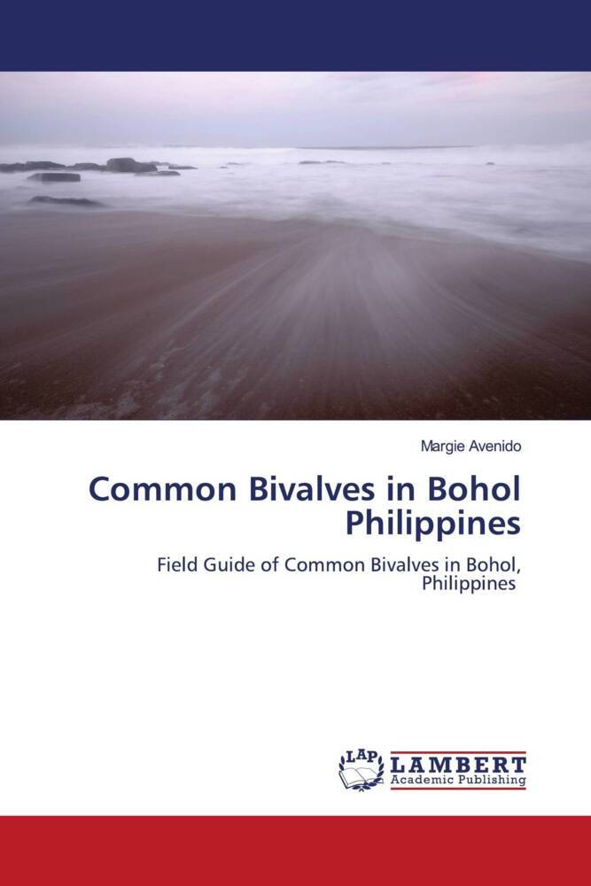 Common Bivalves in Bohol Philippines