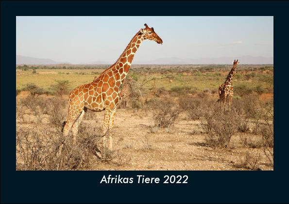 Afrikas Tiere 2022 Fotokalender DIN A5
