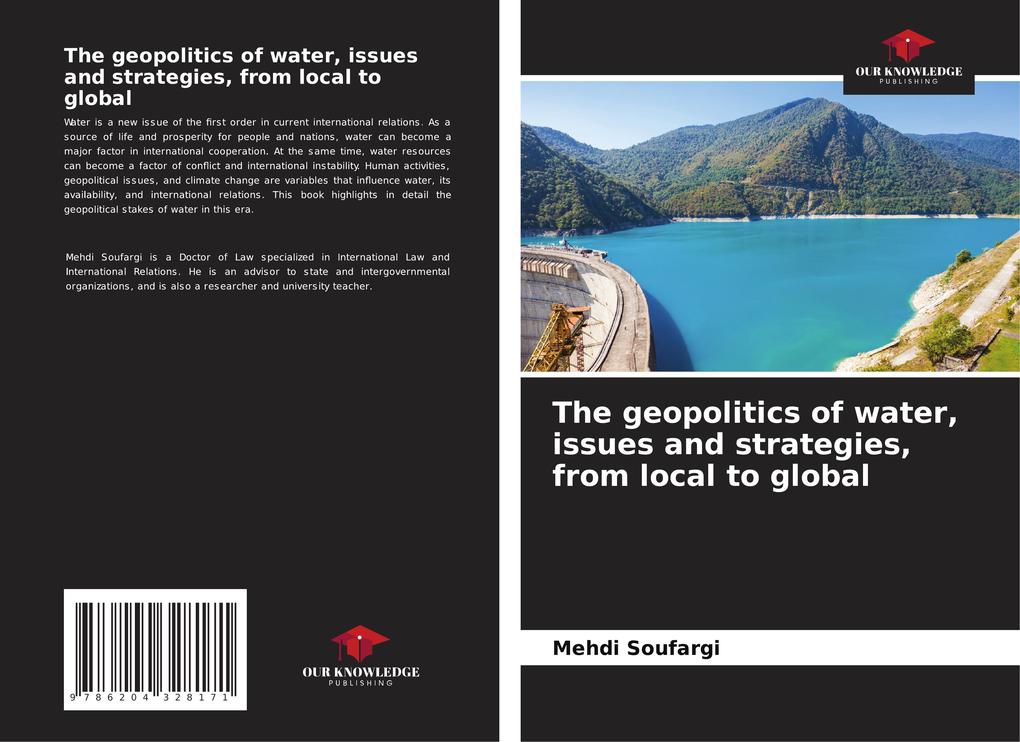 The geopolitics of water issues and strategies from local to global
