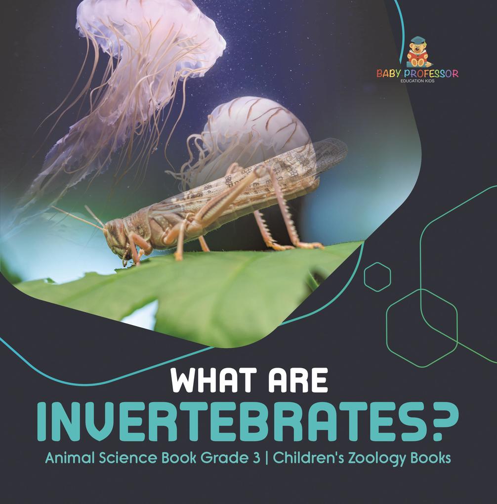 What Are Invertebrates? | Animal Science Book Grade 3 | Children‘s Zoology Books