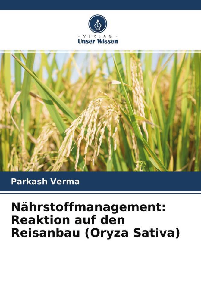Nährstoffmanagement: Reaktion auf den Reisanbau (Oryza Sativa)