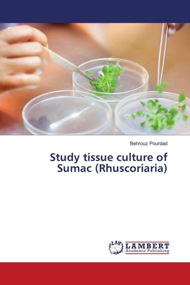 Study tissue culture of Sumac (Rhuscoriaria)
