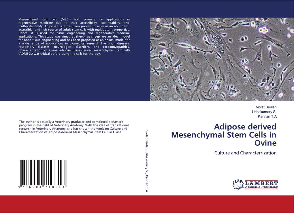Adipose derived Mesenchymal Stem Cells in Ovine