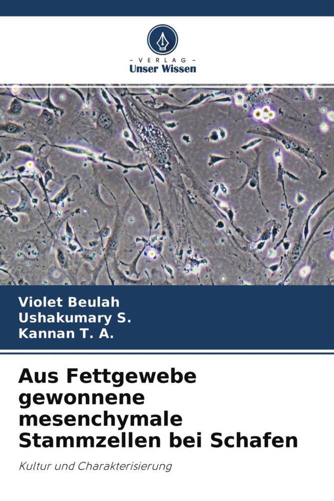 Aus Fettgewebe gewonnene mesenchymale Stammzellen bei Schafen