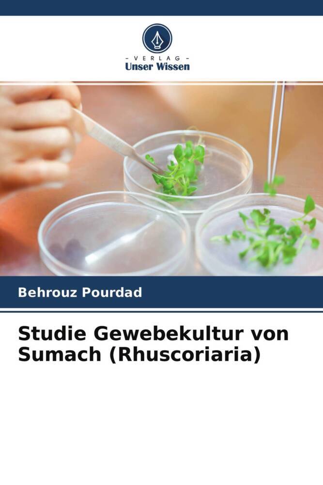 Studie Gewebekultur von Sumach (Rhuscoriaria)