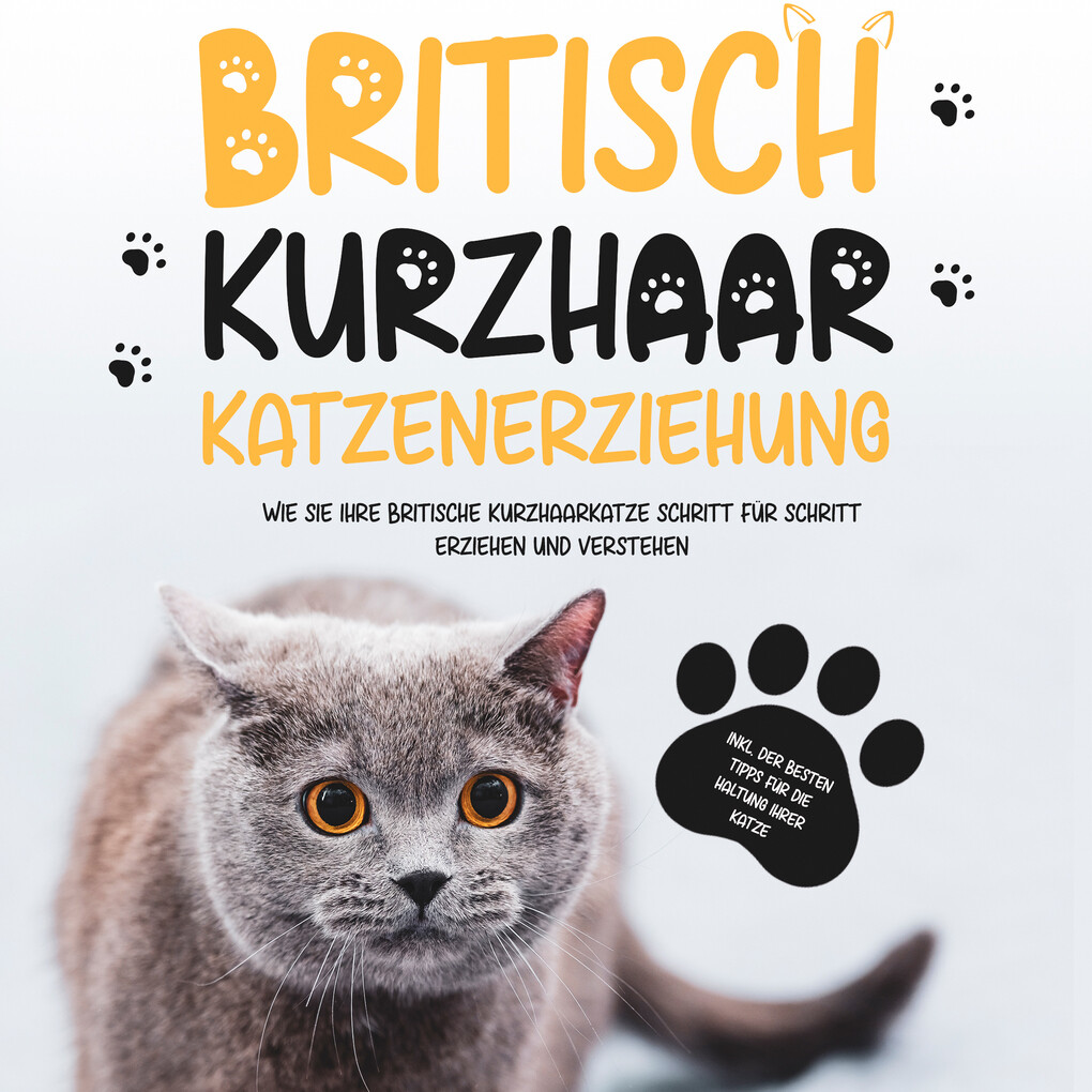 Britisch Kurzhaar Katzenerziehung: Wie Sie Ihre britische Kurzhaarkatze Schritt für Schritt erziehen und verstehen ‘ inkl. der besten Tipps für die Haltung Ihrer Katze