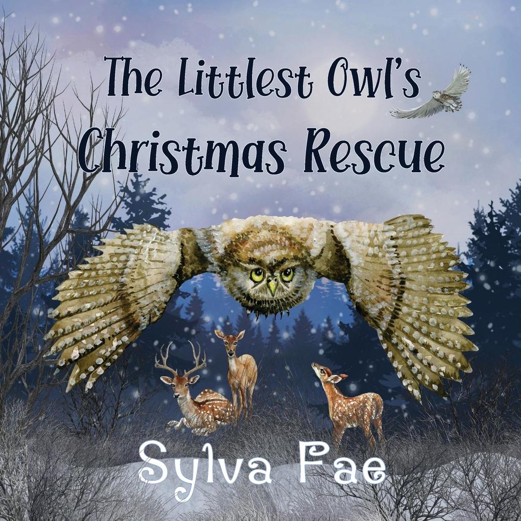 The Littlest Owl‘s Christmas Rescue