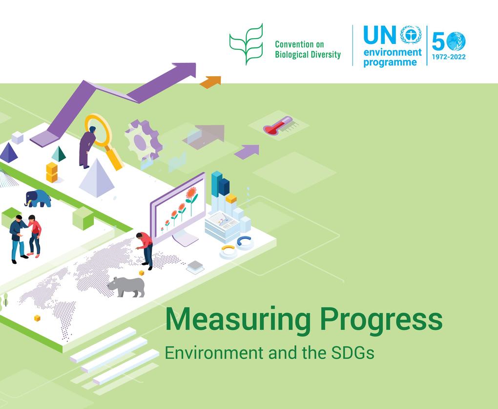 Measuring Progress: Environment and the SDGs