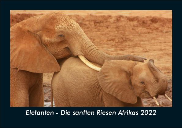 Elefanten - Die sanften Riesen Afrikas 2022 Fotokalender DIN A5