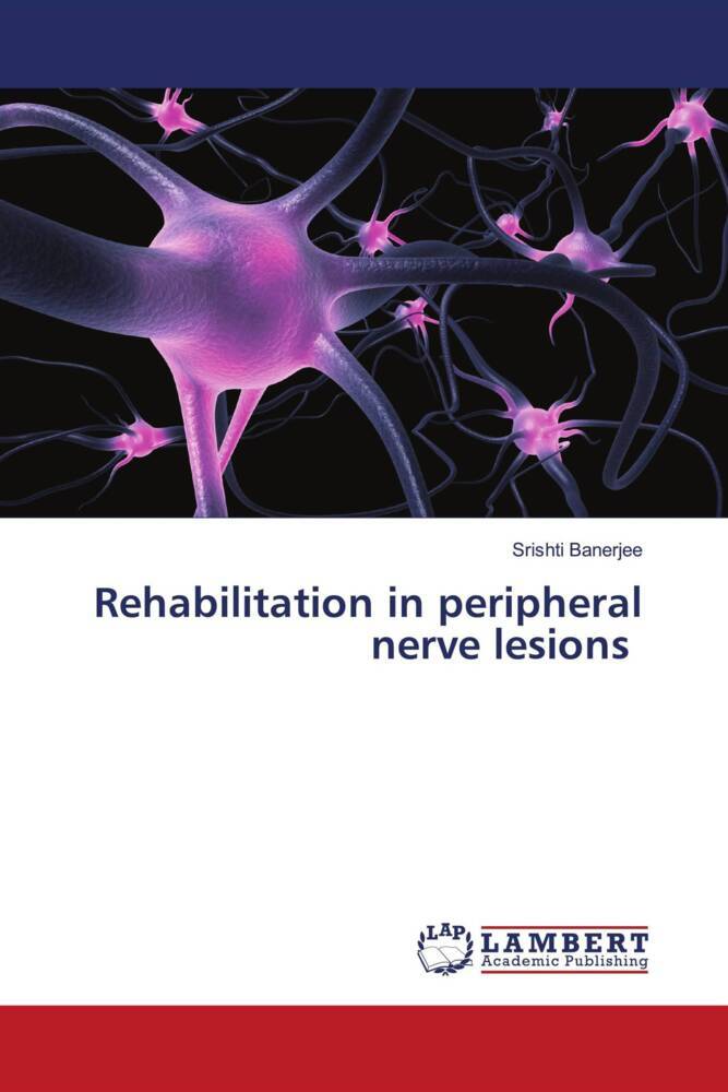 Rehabilitation in peripheral nerve lesions