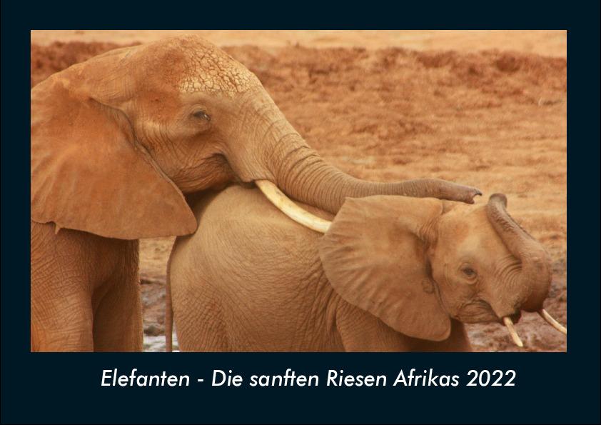 Elefanten - Die sanften Riesen Afrikas 2022 Fotokalender DIN A4
