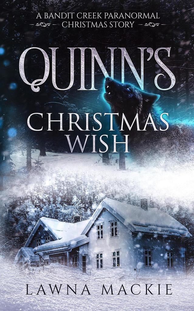 Quinn‘s Christmas Wish