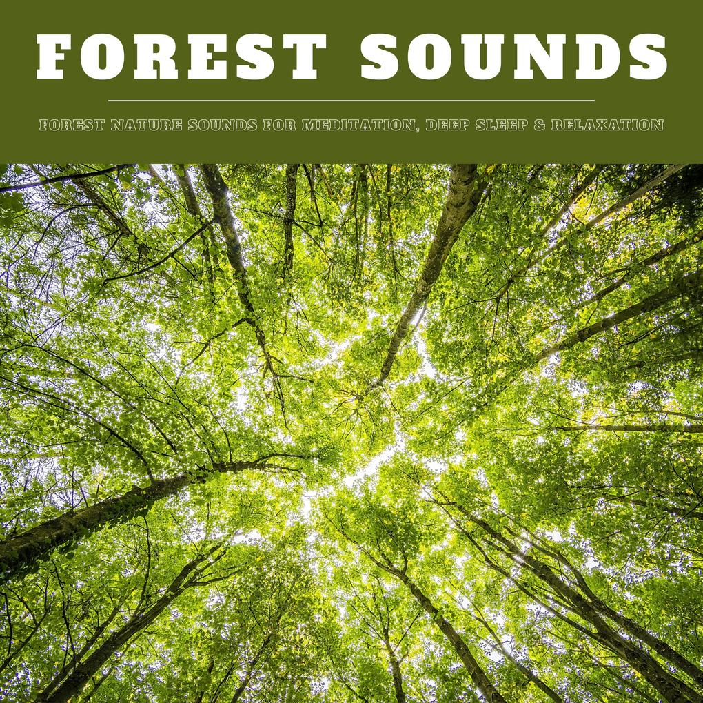 Forest Sounds: Forest Nature Sounds for Meditation Deep Sleep & Relaxation (XXL Bundle)