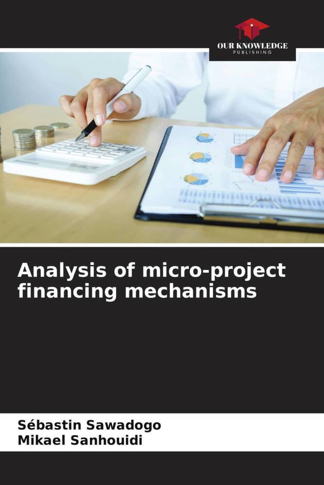 Analysis of micro-project financing mechanisms