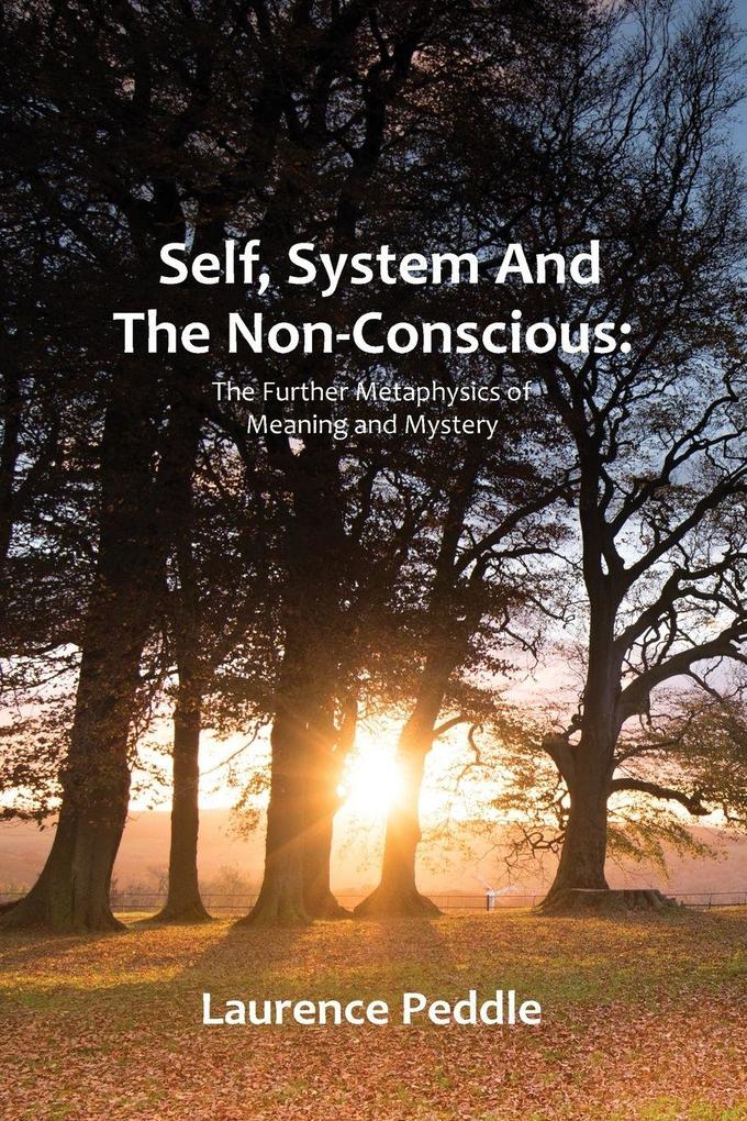Self System and the Non-Conscious