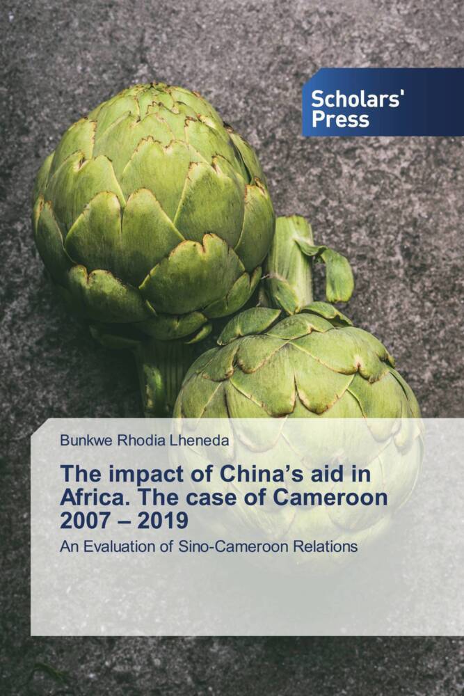 The impact of China's aid in Africa. The case of Cameroon 2007 - 2019