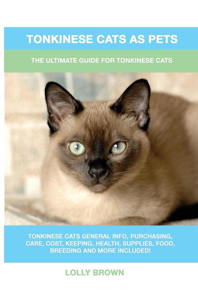 Tonkinese Cats as Pets
