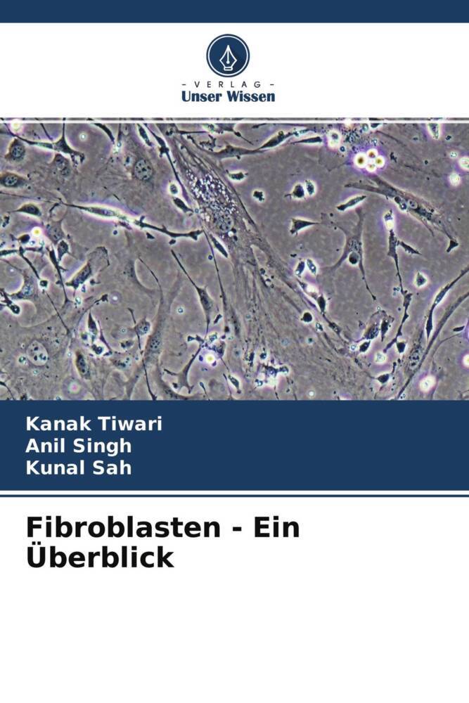 Fibroblasten - Ein Überblick