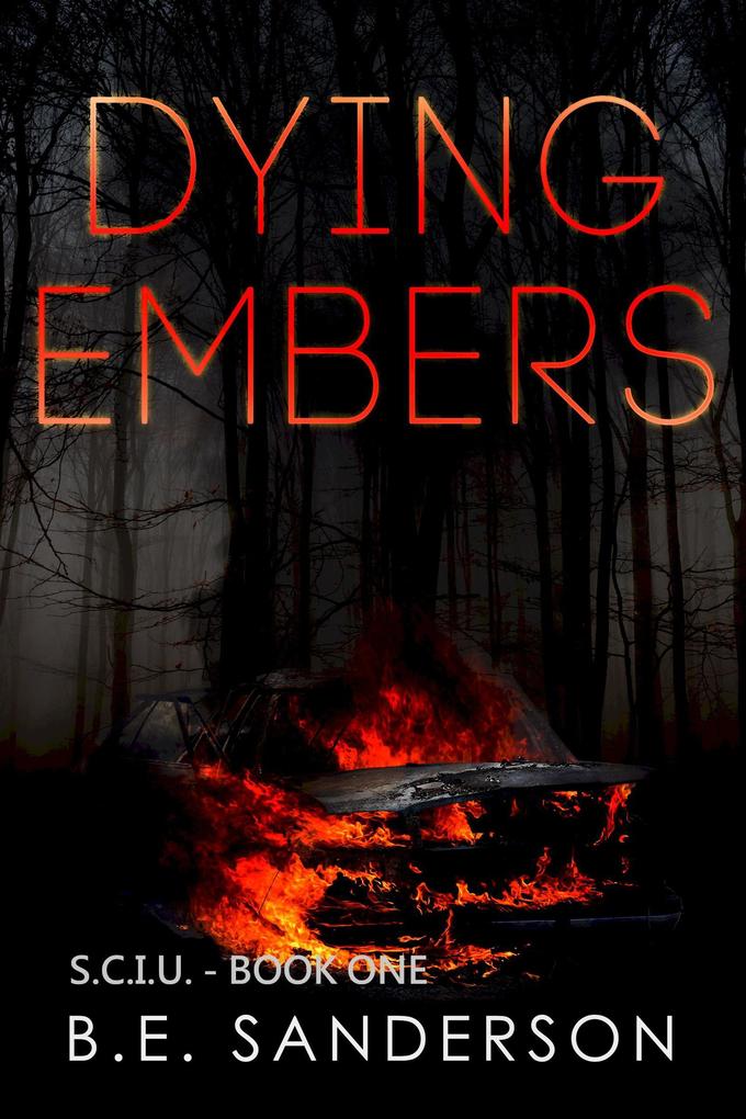 Dying Embers (Serial Crimes Investigation Unit #1)