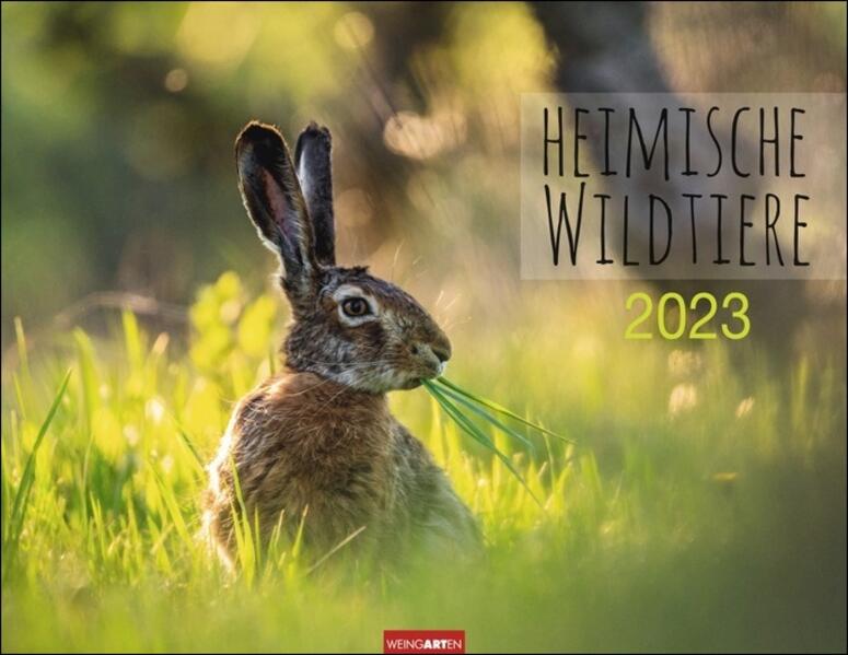 Image of Heimische Wildtiere Kalender 2023