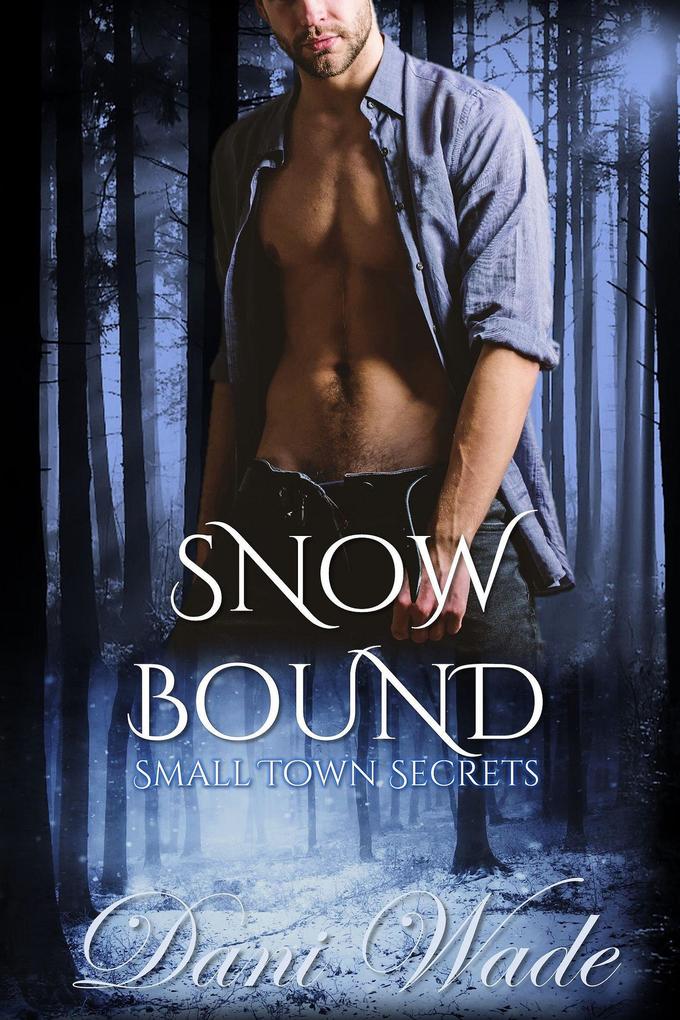 Snow Bound (Small Town Secrets #3)