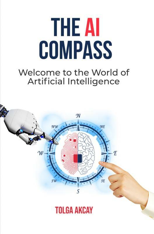 THE AI COMPASS