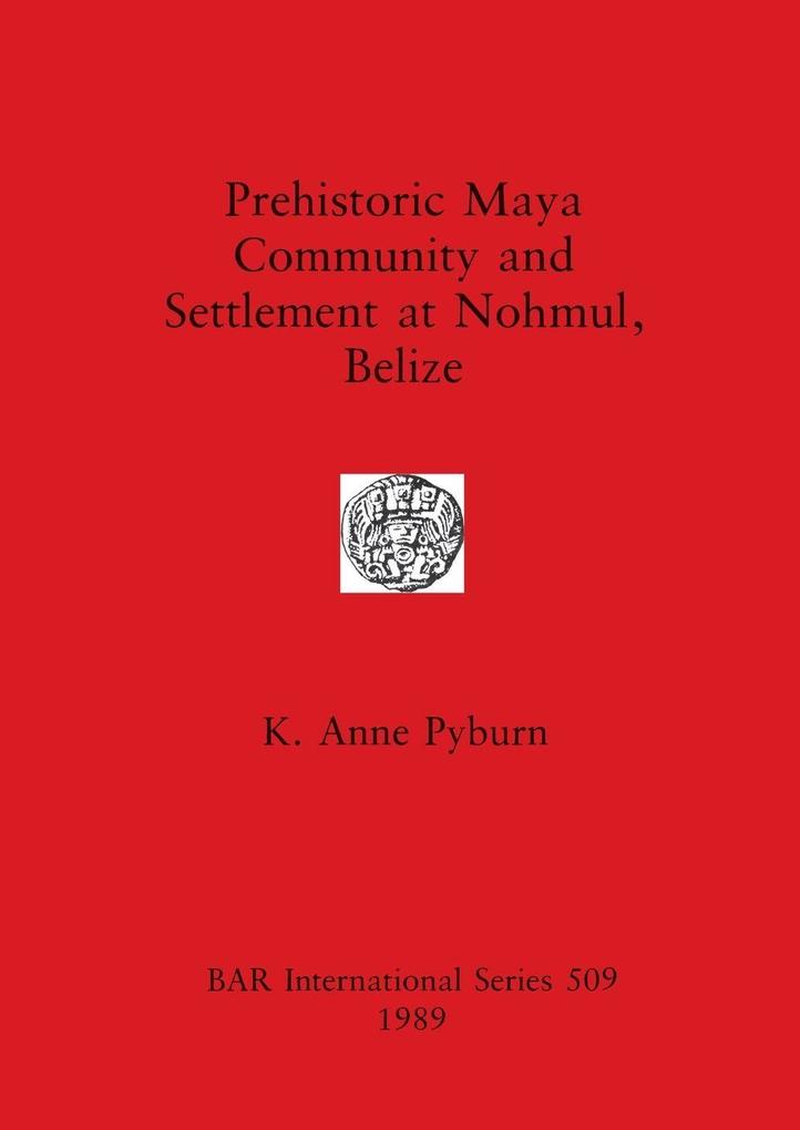 Prehistoric Maya Community and Settlement at Nohmul Belize