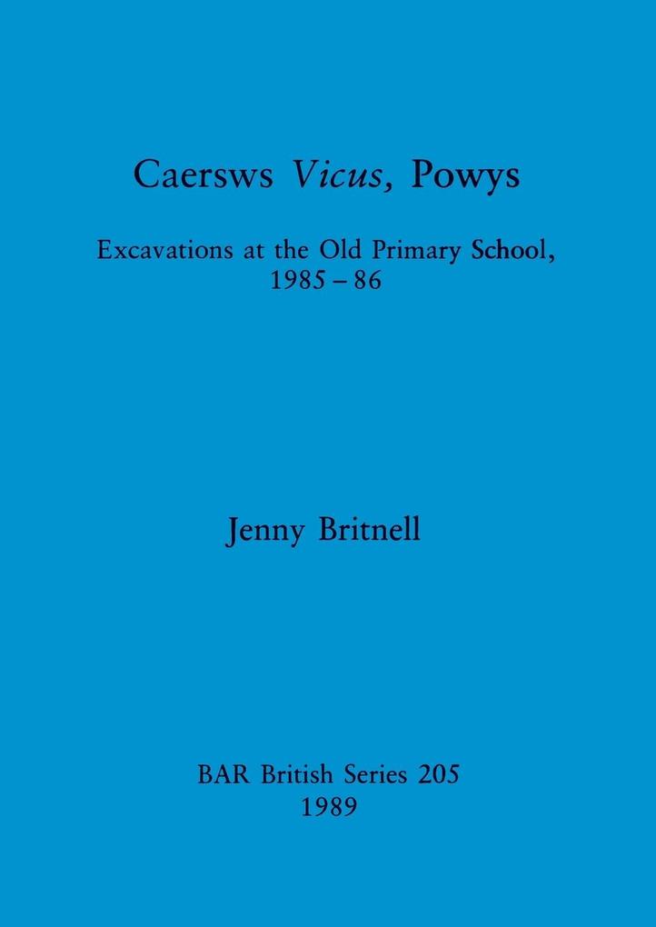 Caersws Vicus Powys