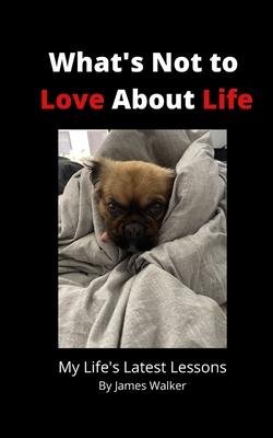 What‘s Not to Love About Life: My Life‘s Latest Lessons