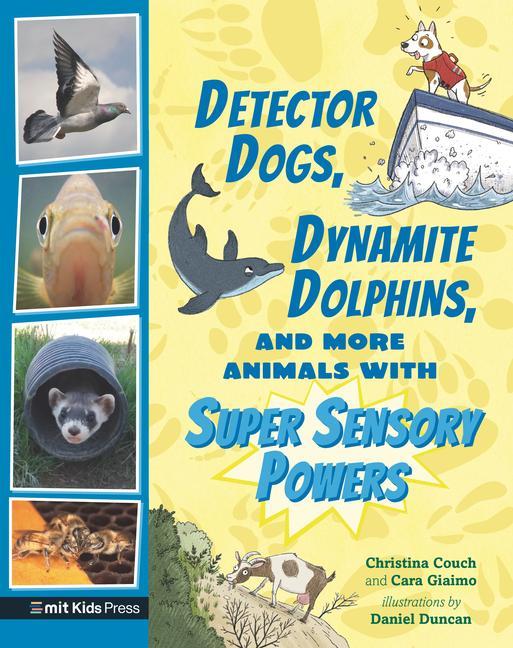 Detector Dogs Dynamite Dolphins and More Animals with Super Sensory Powers