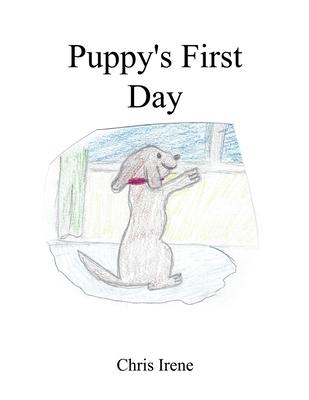 Puppy‘s First Day