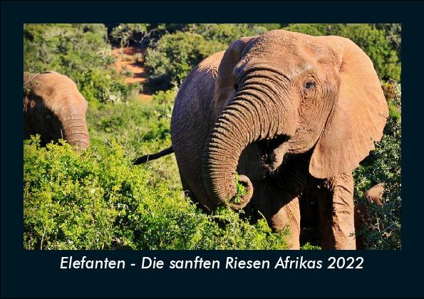 Elefanten - Die sanften Riesen Afrikas 2022 Fotokalender DIN A5