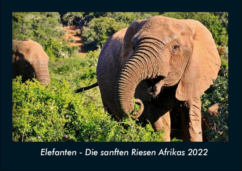 Elefanten - Die sanften Riesen Afrikas 2022 Fotokalender DIN A4