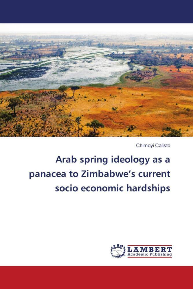 Arab spring ideology as a panacea to Zimbabwe's current socio economic hardships