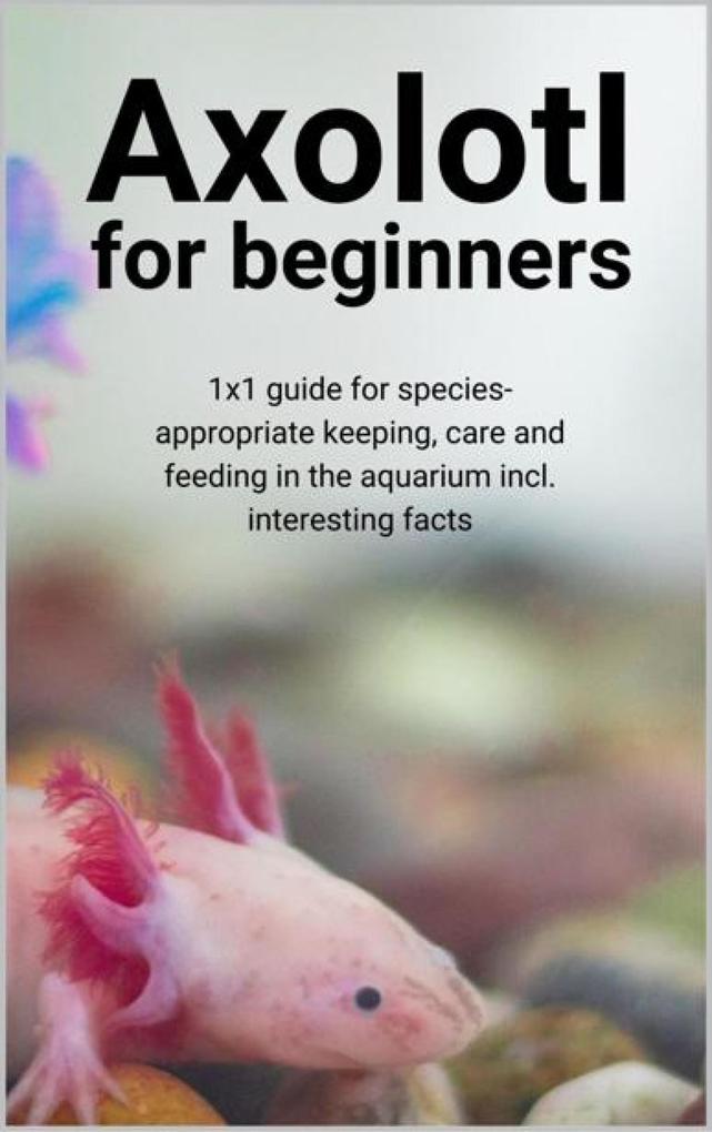 Axolotl for beginners
