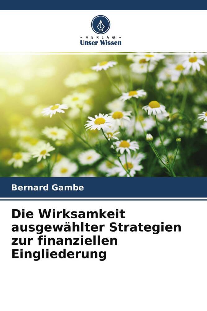 Die Wirksamkeit ausgewählter Strategien zur finanziellen Eingliederung