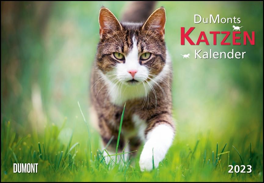 Image of DuMont Kalender "Katzen", 2023