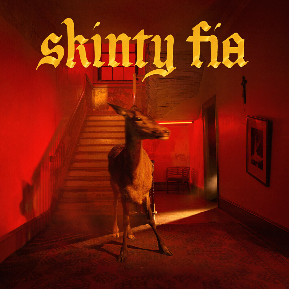 Skinty Fia 1 Audio-CD 1 Audio-CD
