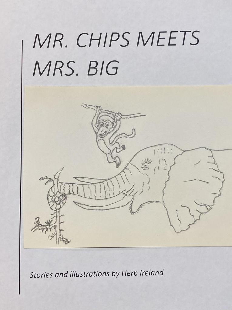 Mr. Chips Meets Mrs. Big
