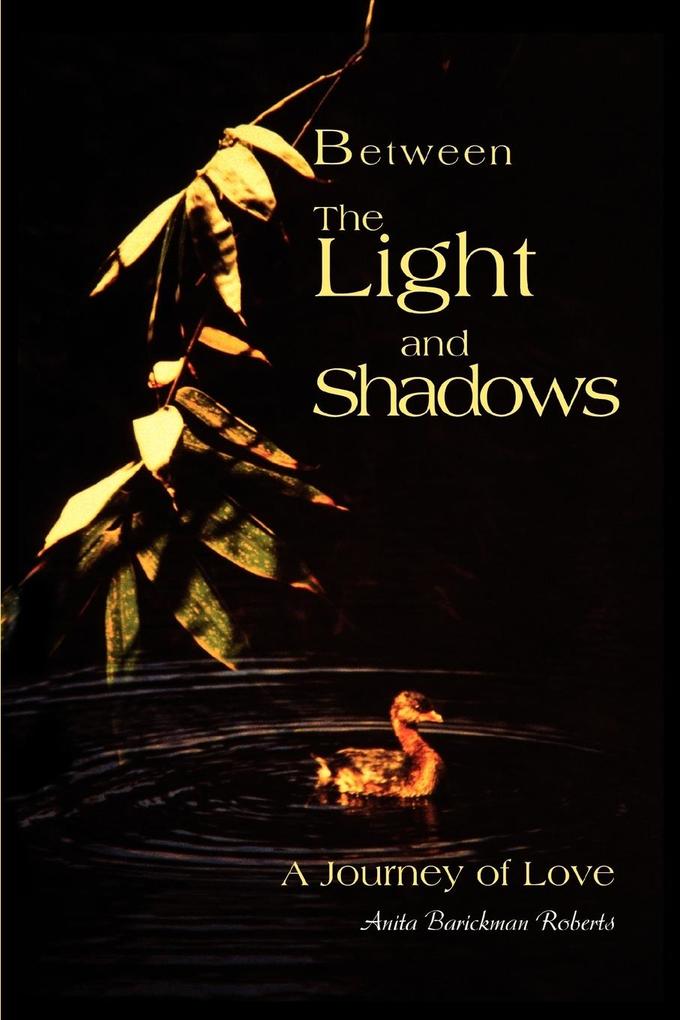 Image of Between The Light and Shadows