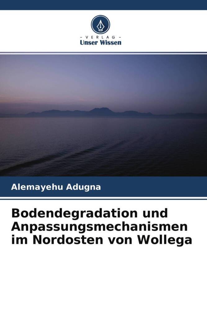 Bodendegradation und Anpassungsmechanismen im Nordosten von Wollega