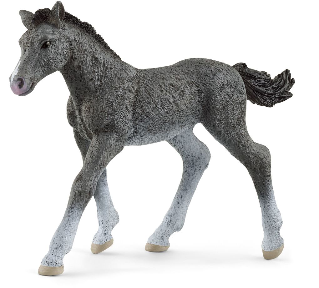 Image of Schleich 13944 - Horse Club Trakehner Fohlen Pferd Tierfigur Höhe: 7 cm