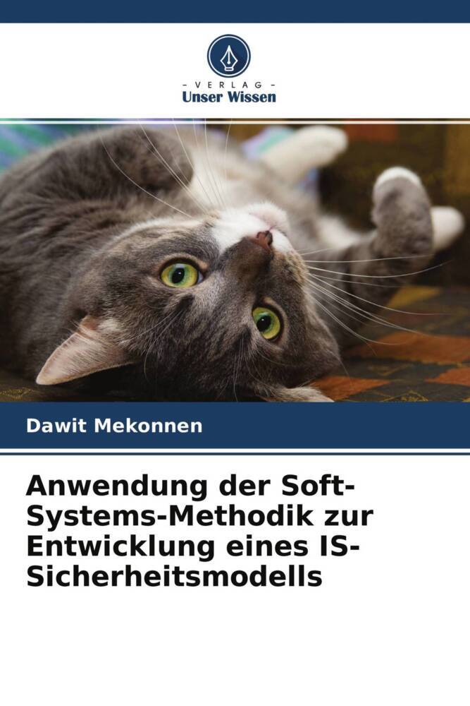Anwendung der Soft-Systems-Methodik zur Entwicklung eines IS-Sicherheitsmodells