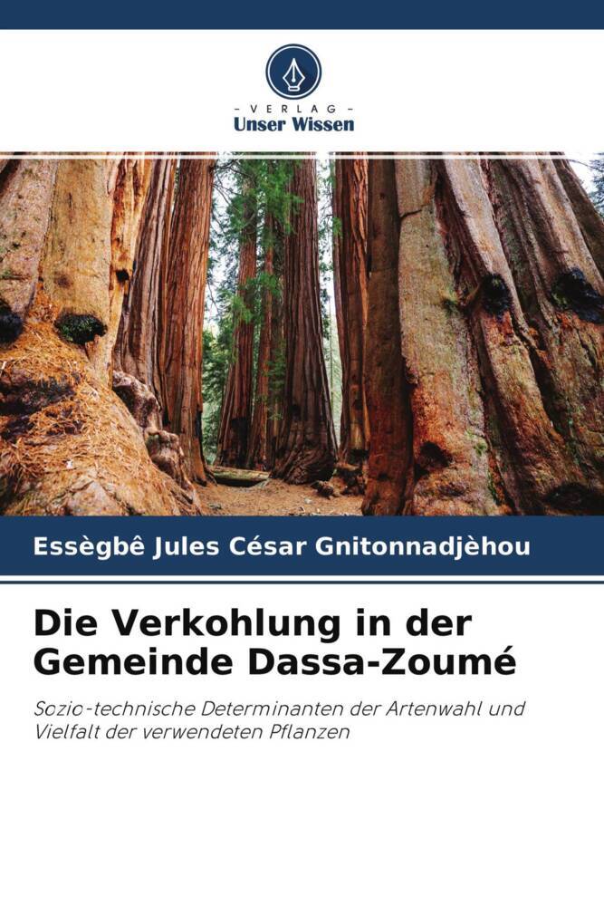 Die Verkohlung in der Gemeinde Dassa-Zoumé