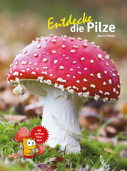 Image of Entdecke die Pilze