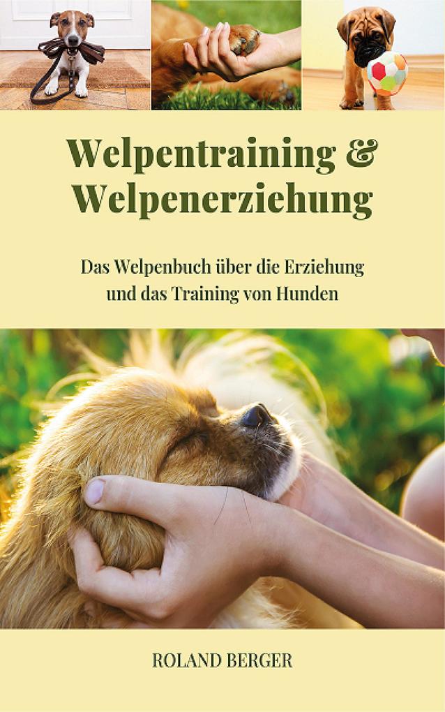 Welpentraining und Welpenerziehung