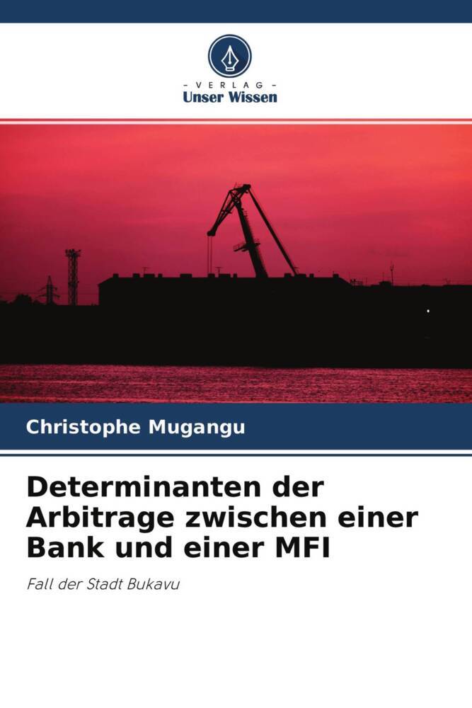 Determinanten der Arbitrage zwischen einer Bank und einer MFI