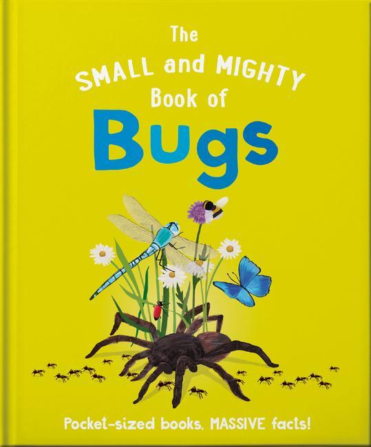 Image of The Small and Mighty Book of Bugs