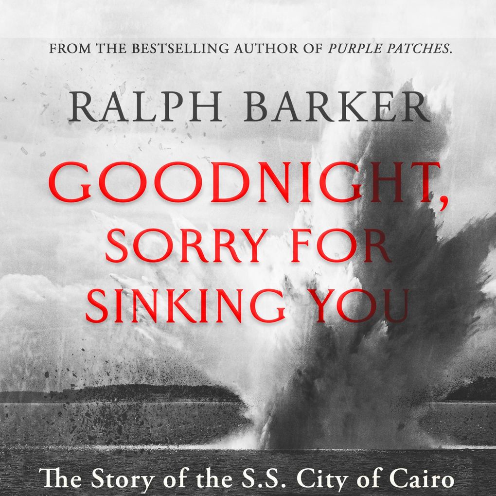 Goodnight Sorry for Sinking You
